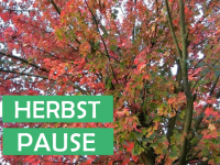 Herbstpause /> </div>
            <div class=